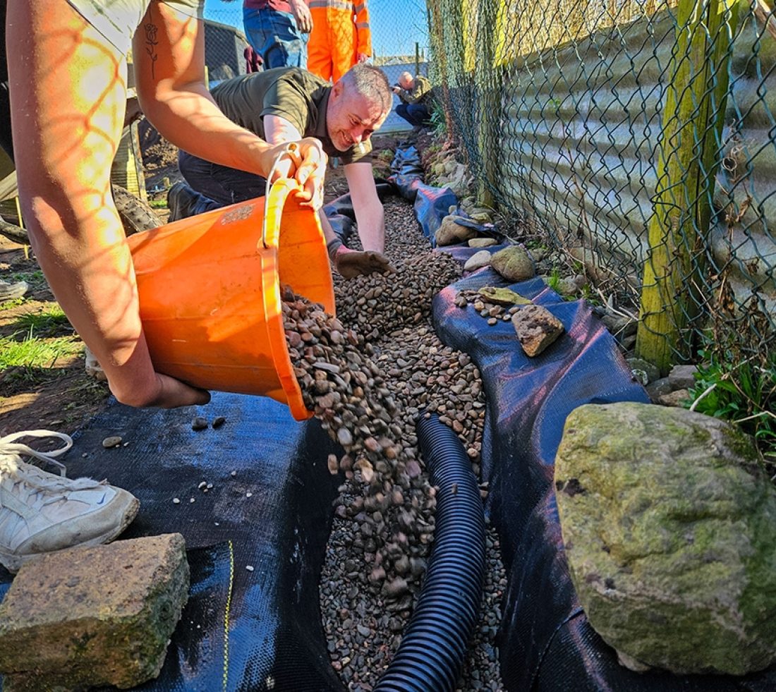Volunteers coverage plastic drainage pipework with fine stones, completing the installation of French drains at the Penrith community tree nursery.