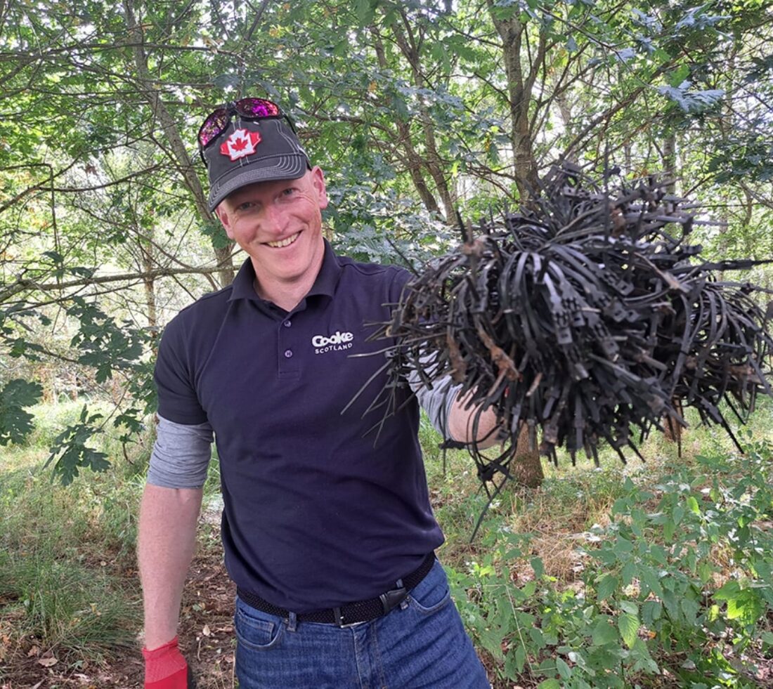 A volunteer in woodland holding up a large handful of cable ties collected along with obsolete tree guards which have served their purpose of seeing saplings through their first few years.