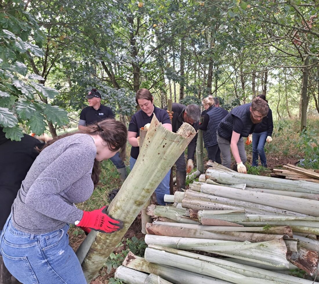 A group of volunteers collected obsolete tree tubes for recycling and reuse, piling them up.