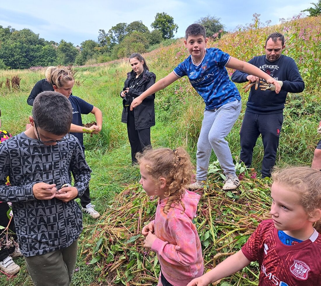 A large group of young people are posing for a photograph standing on a pile of uprooted Himalayan balsam after a day of balsam bashing at Petteril Vale in Carlisle.
