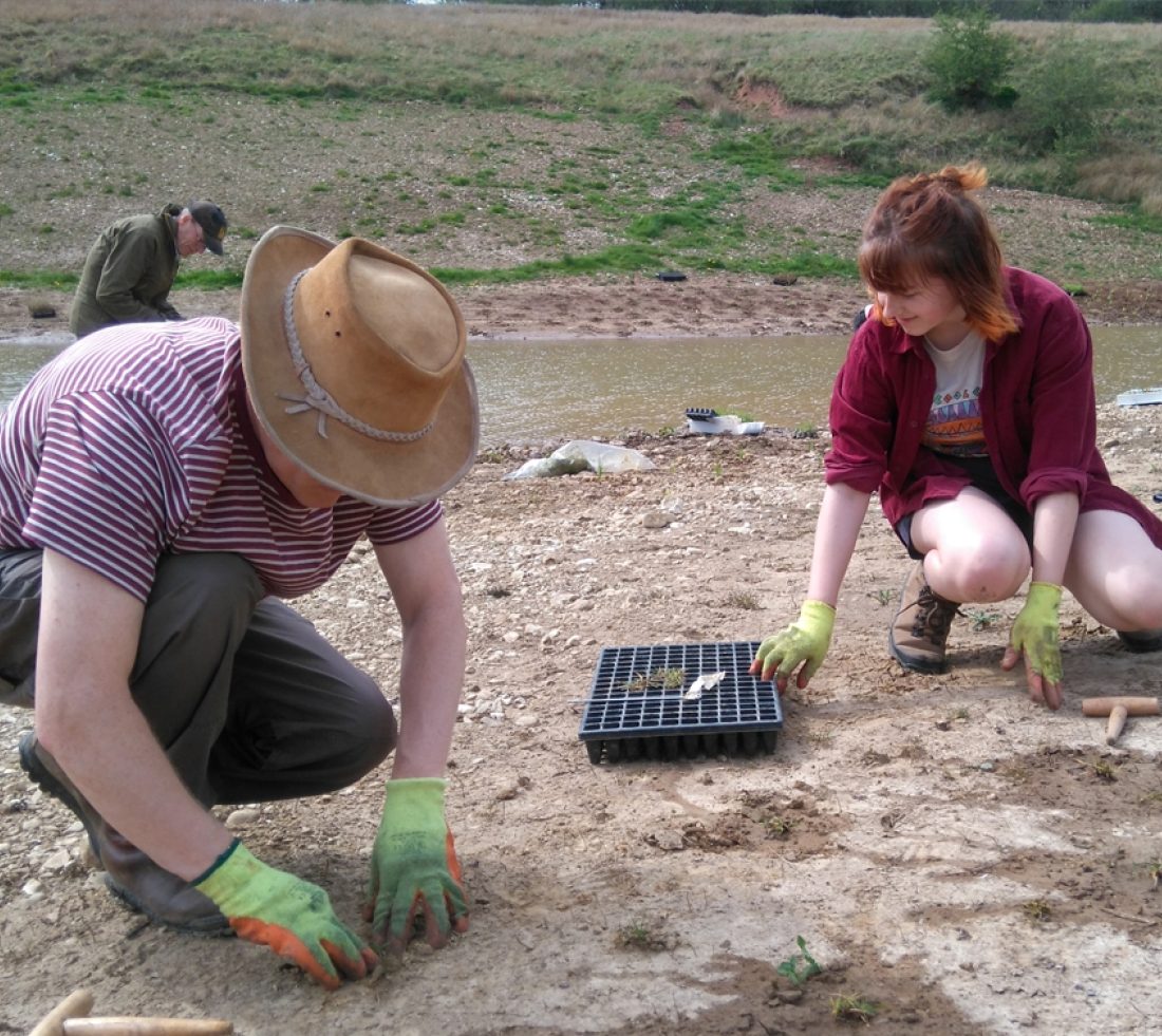 A group of volunteers kneeling on mud and silt to the side of a newly excavated river channel. They have trays of plug plants and are planting them to provide soil stability and increase species diversity.