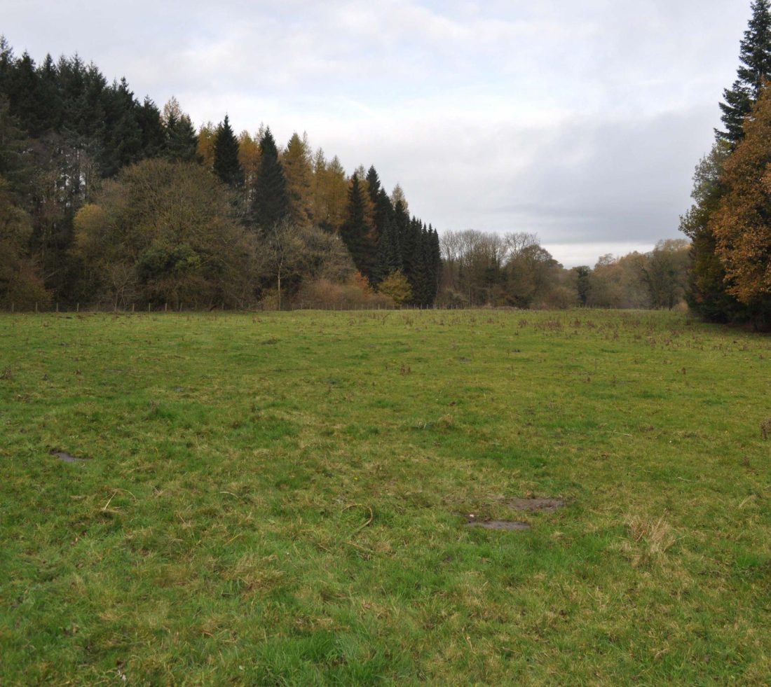 View across a grass field with mixed woodland surrounding on all sides.