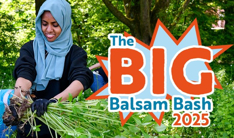 A volunteer pictured holding a large uprooted Himalayan balsam plant with graphic which reads: 