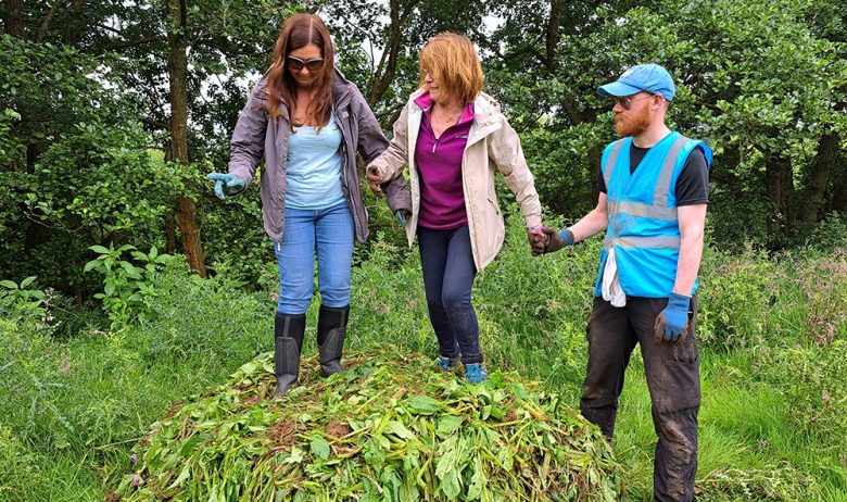 Three volunteers standing on top of a pile of uprooted Himalayan balsam plants.