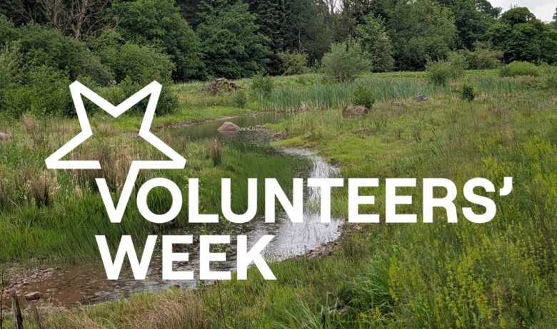 A meandering stream fringed with thick undergrowth and tall grasses. A large graphic over the image reads: