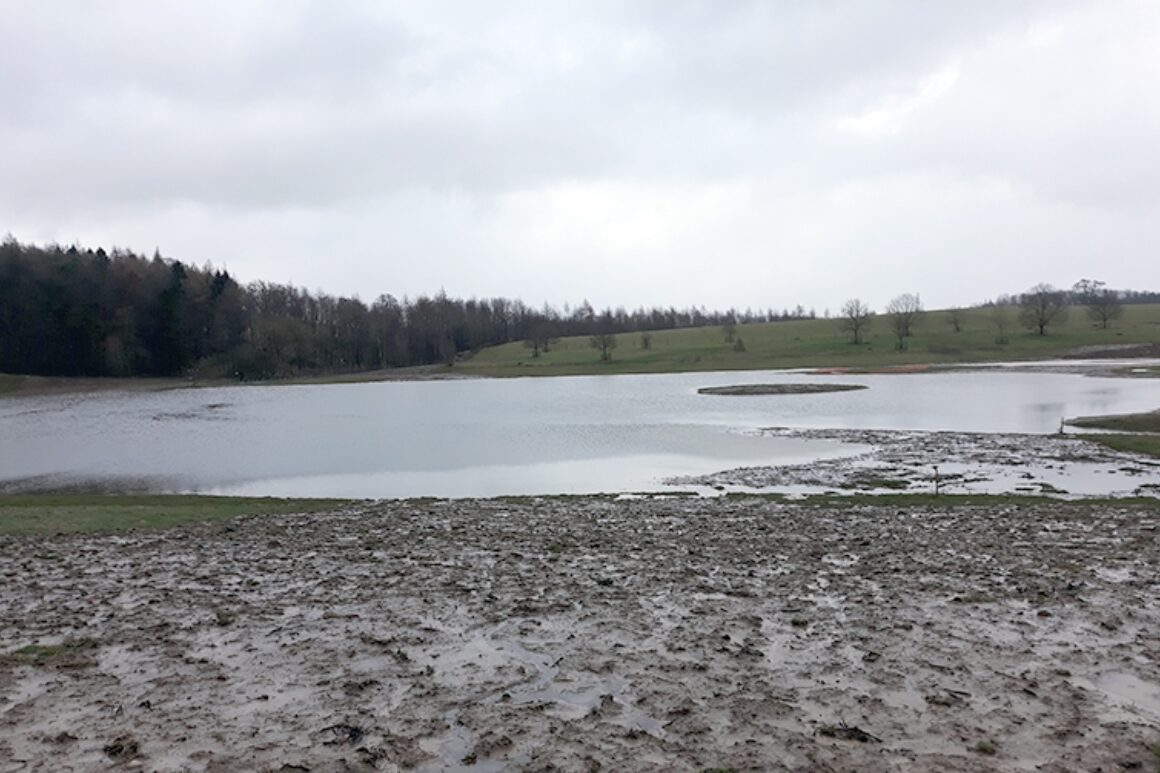 View across muddy waterlogged ground to large pond with small island.