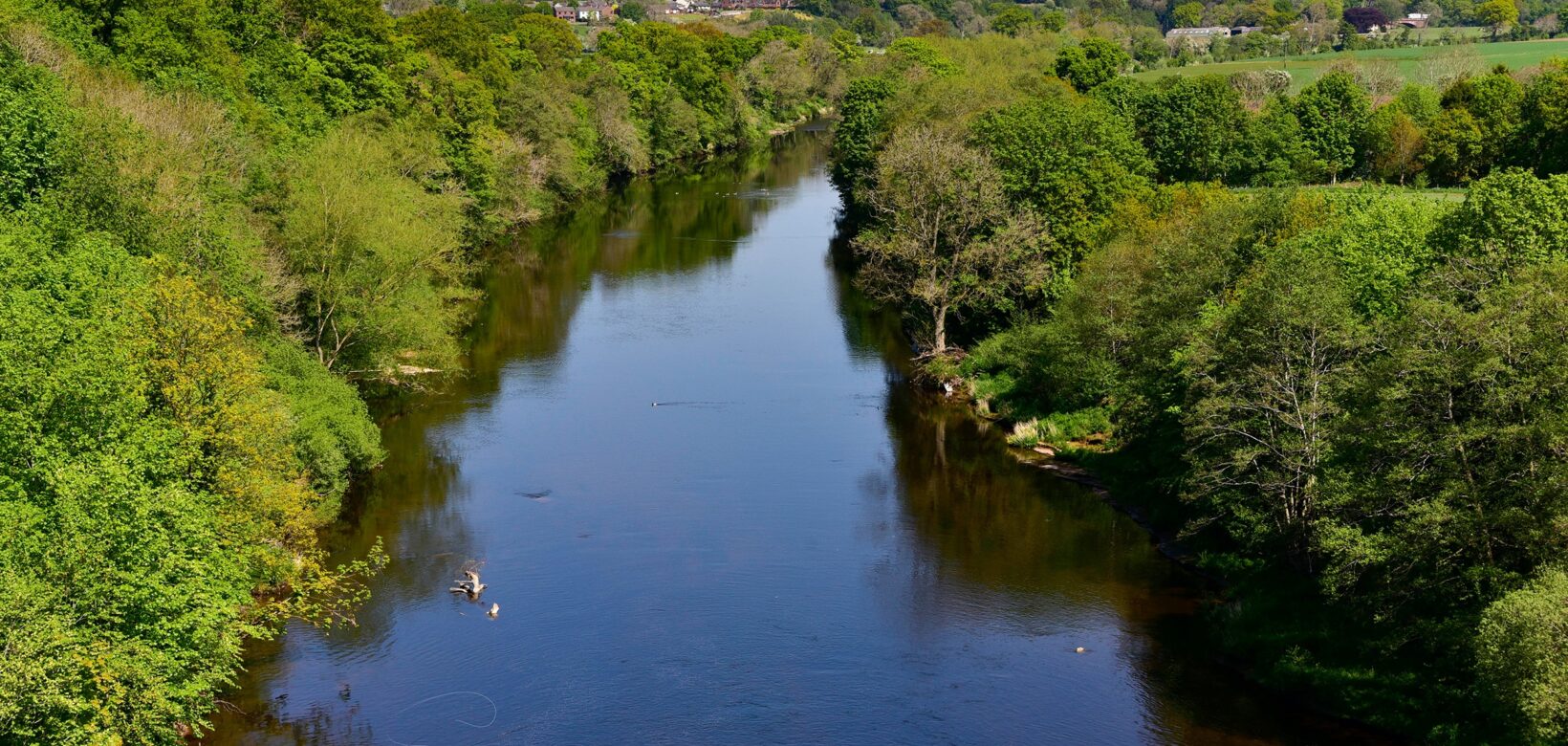 Aerial view of wide slow moving river with thick stands of mixed native trees either side.