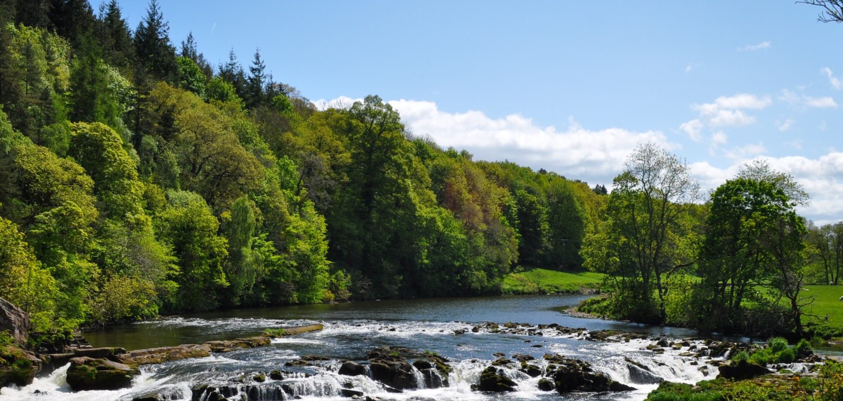 A wide fast flowing river with multiple cascades of water flowing over large boulders scattered across the flow of the river. Left bank covered by dense woodland in green leaf, right bank open grassland with single mature trees.