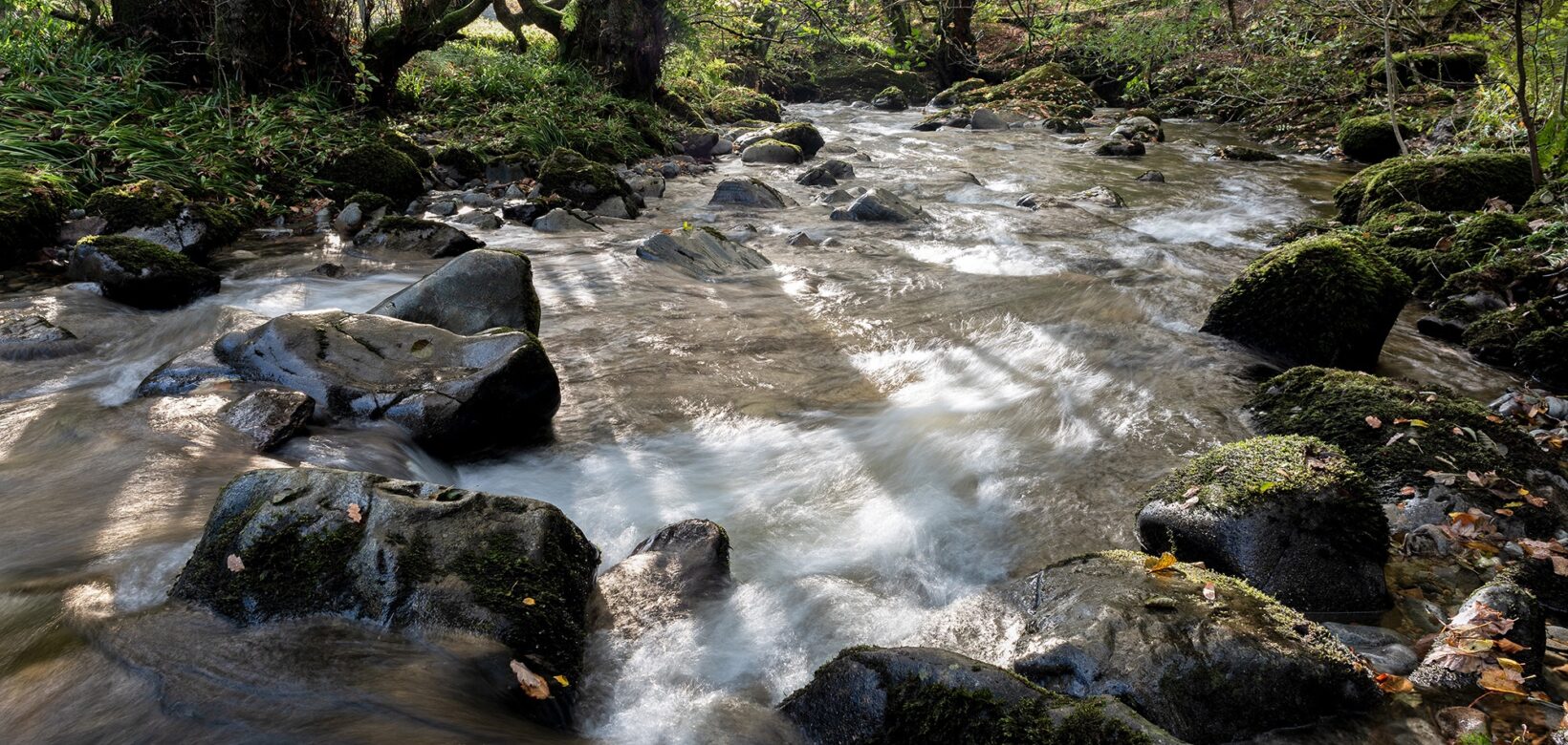A section of fast flowing stream with cascades and white water formed in boulder strewn section, surrounded by woodland.