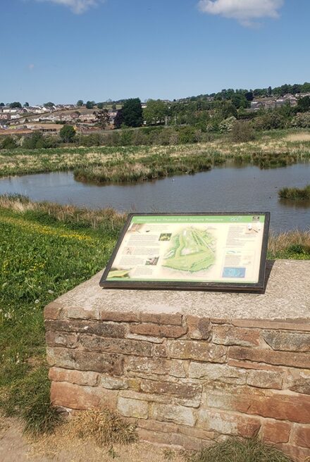 White interpretation board seated atop flat brick platform with Thacka Beck nature reserve lake behind.