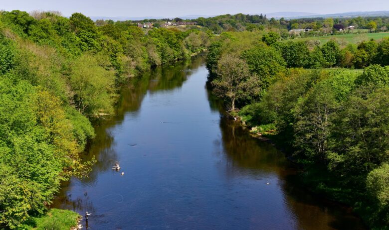 Aerial view of wide slow moving river with thick stands of mixed native trees either side.