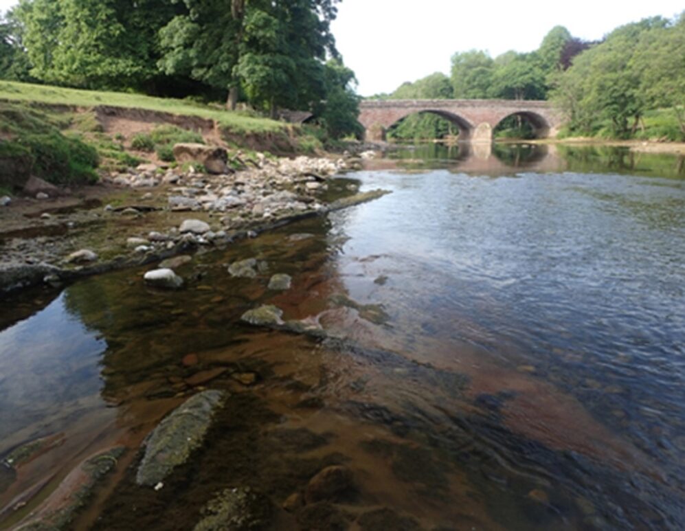 A wide section of the river Eden with a multi arched bridge spanning in the background.