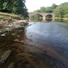 A wide section of the river Eden with a multi arched bridge spanning in the background.