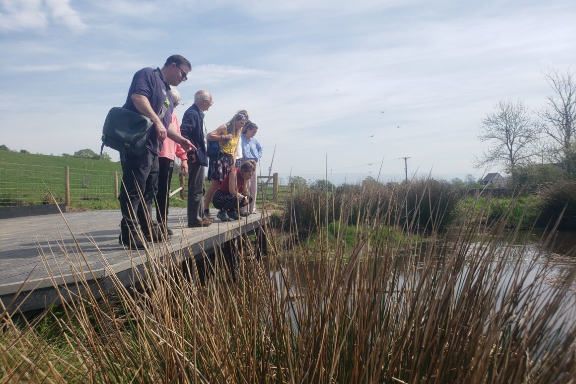 A group of people standing on a pond viewing platform looking at the water.