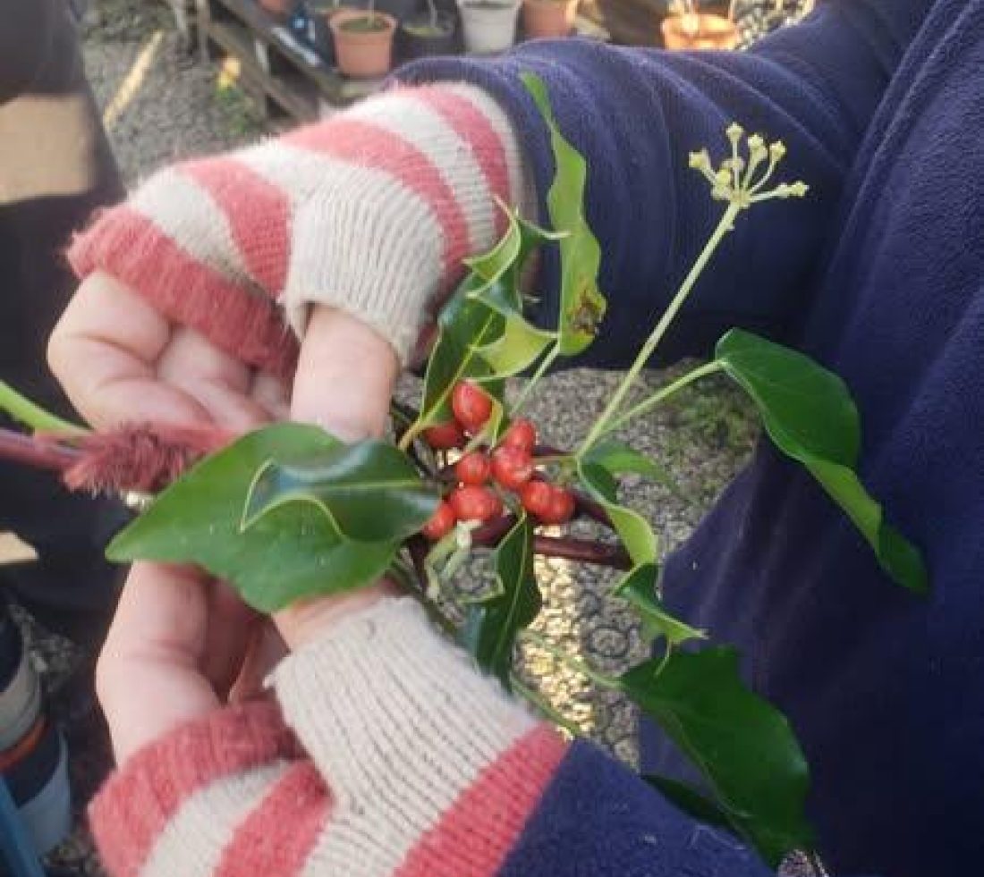 A person wearing ping and white striped fingerless gloves holding springs of green holly leaves with red berries.