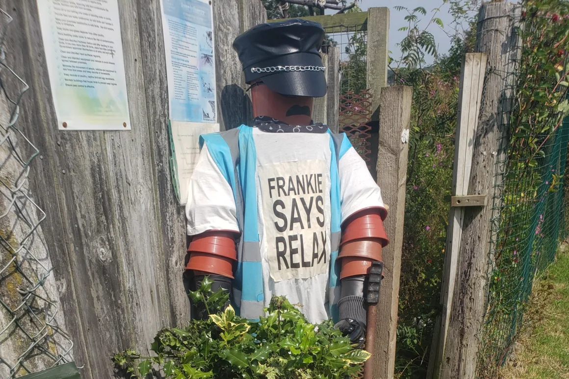 A scarecrow with arms made of flower pots stands holding an upturned wheelbarrow. The barrow is supporting a number of small tree saplings in pots. The scarecrow is wearing a black leather cap and sporting a 'Frankie Says Relax' t shirt.