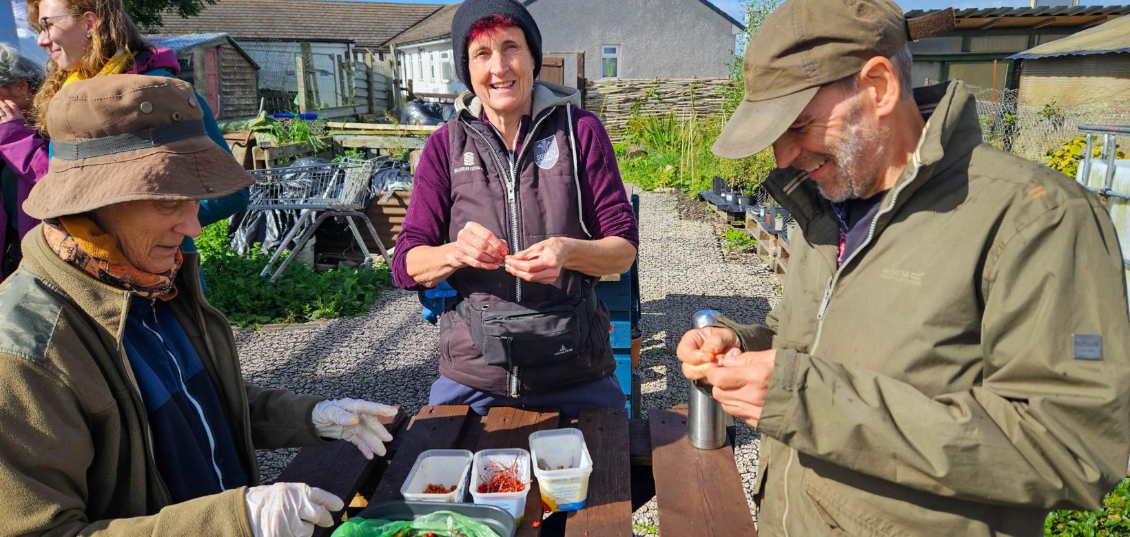 A group of volunteers assembled around wooden table at the Penrith Community Tree Nursery, removing seeds from locally sourced berries and native species.