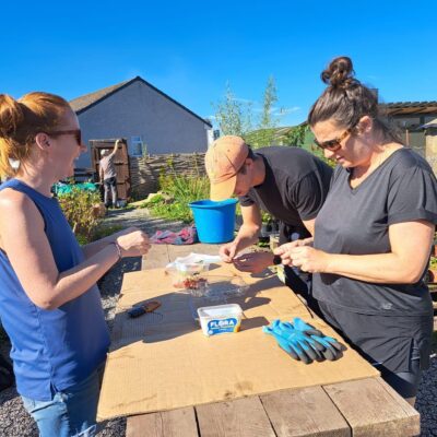 A group of volunteers standing around a wooden bench, extracting seeds from a variety of native berries stored in buckets and plastic containers.