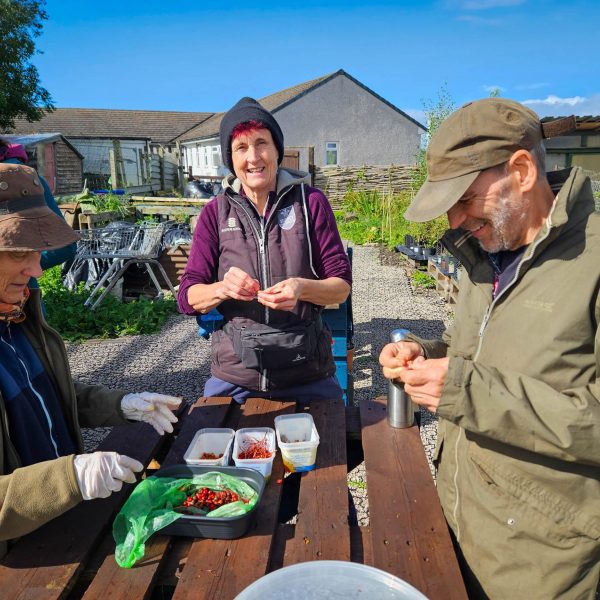 A group of volunteers assembled around wooden table at the Penrith Community Tree Nursery, removing seeds from locally sourced berries and native species.
