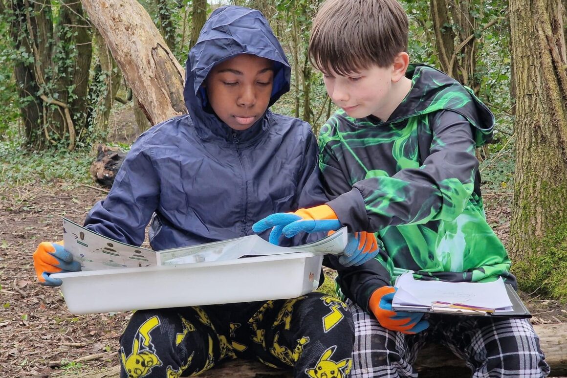Tow young people in a woodland setting are sat on a wooden log. One is holding a large while tray filled with insect species collected from the woodland. The other has a clipboard and they are both engaged in identifying species using a hand held guide.
