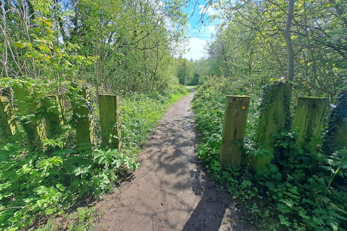 View down a gravel pathway through a fence constructed from gapped sections of wooden railway sleeper, bordered on each side by trees in summer leaf.