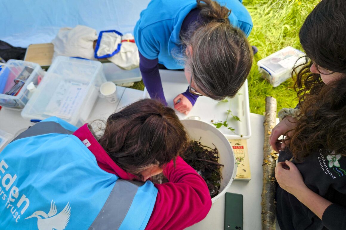 Aerial image of Eden Rivers Trust staff around a table, investigating the contents of a bucket containing samples of weed and aquatic life from nearby river Eden.