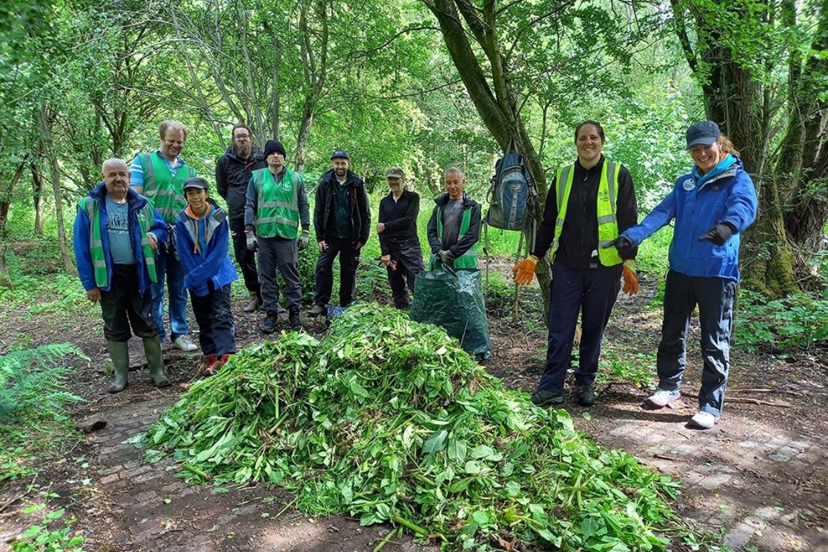 A group of ERT and Cumberland Council volunteers pose for a picture stood behind a large pile of uprooted Himalayan balsam.