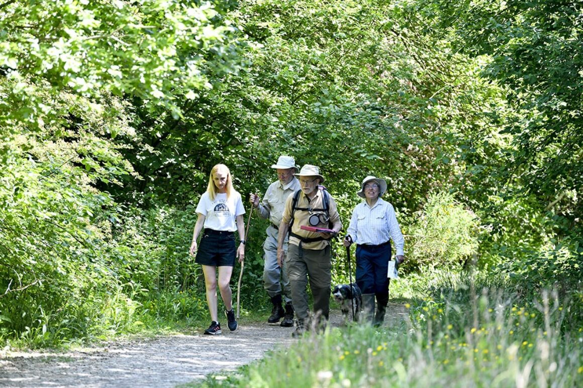 A group of four people are strolling down a gravel track through woodland on either side in dappled sunshine.