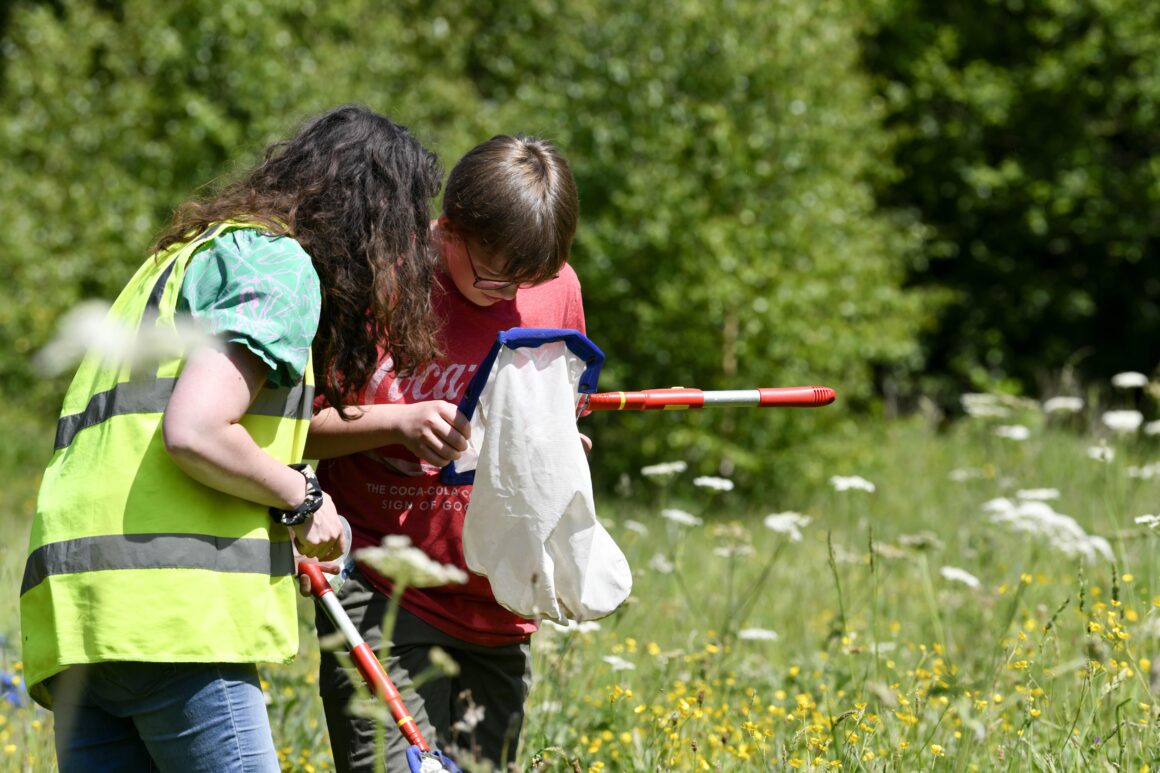 Two people stood in a field of tall grasses and meadow flowers are examining the contents of butterfly nets used to collect insect species from the plants.