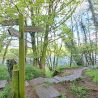 Wooden fingerpost adjacent to stepped stone pathway running through sparse woodland in leaf with river running parallel in background. Signpost reads: Hadrian's Wall path.