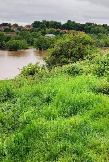 A group of young people stood at the top of a grassy river bank looking towards the river Petteril in high spate following heavy rainfall.