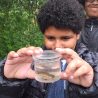 A young person stood on riverbank holding up a plastic magnifying jar containing a small fish, probably stickleback.