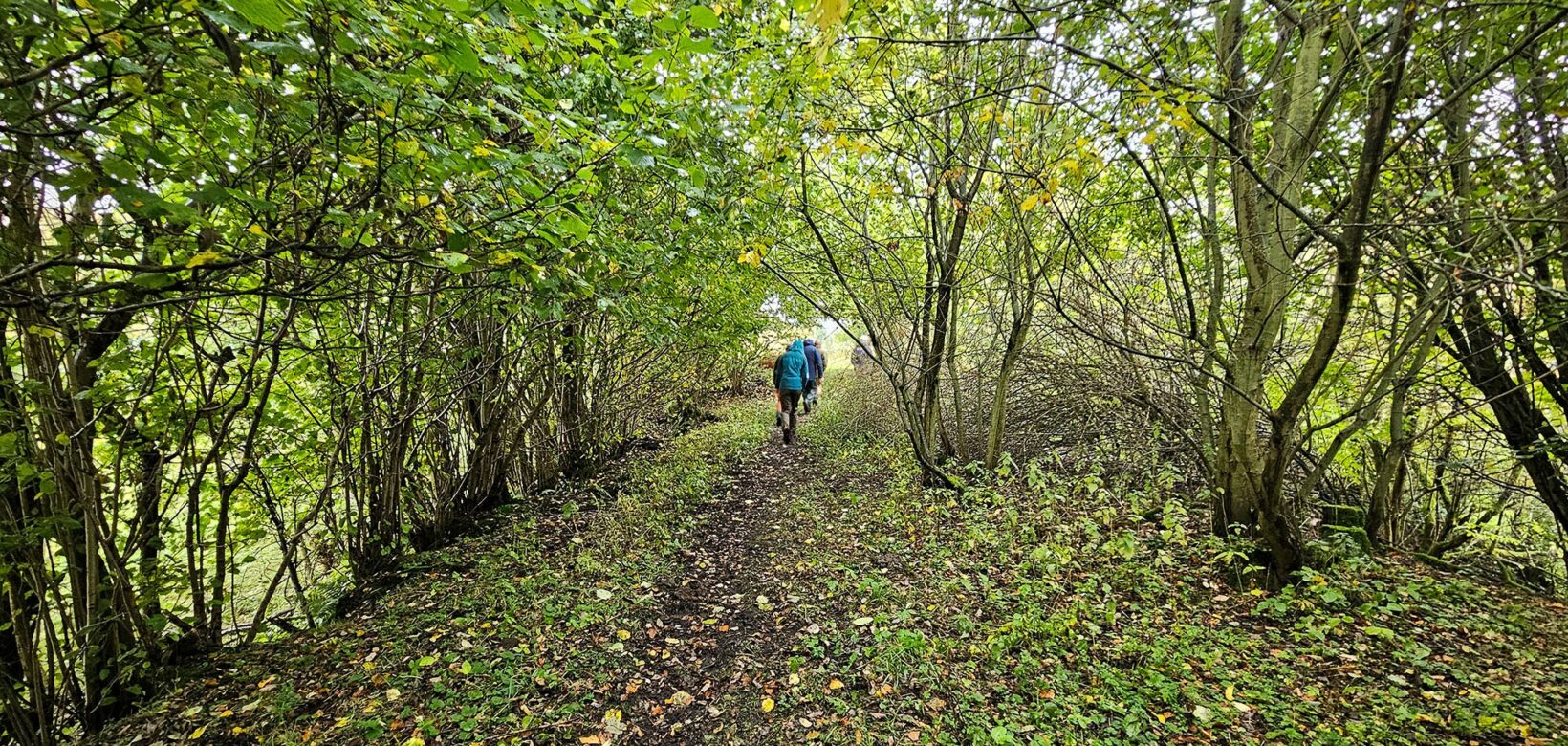 People walking along a dirt path surrounded by trees. It's Autumn, so leaves are already falling to the ground.