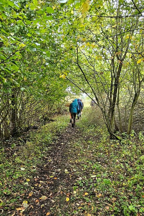 People walking along a dirt path surrounded by trees. It's Autumn, so leaves are already falling to the ground.