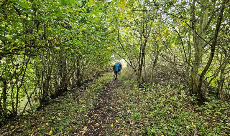 People walking along a dirt path surrounded by trees. It's Autumn, so leaves are already falling to the ground.