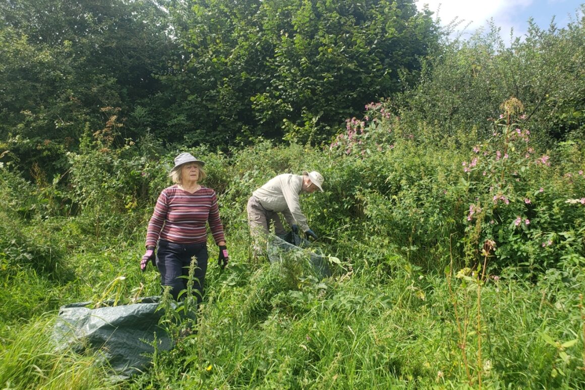 ERT volunteers on site at Wallacefield removing Himalayan balsam from field boundaries on the site.