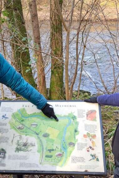 ERT staff and landowner looking at an interpretation panel on site at Wallacefield featuring a map of the Parish of Wetheral and natural and cultural points of interest.