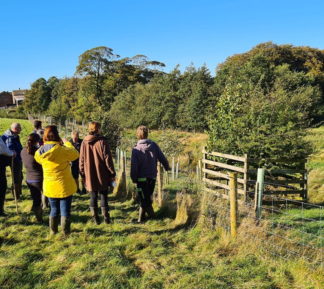 A group of people in outdoor clothing in an open fiend looking across the fence at large wooden tree enclosures.
