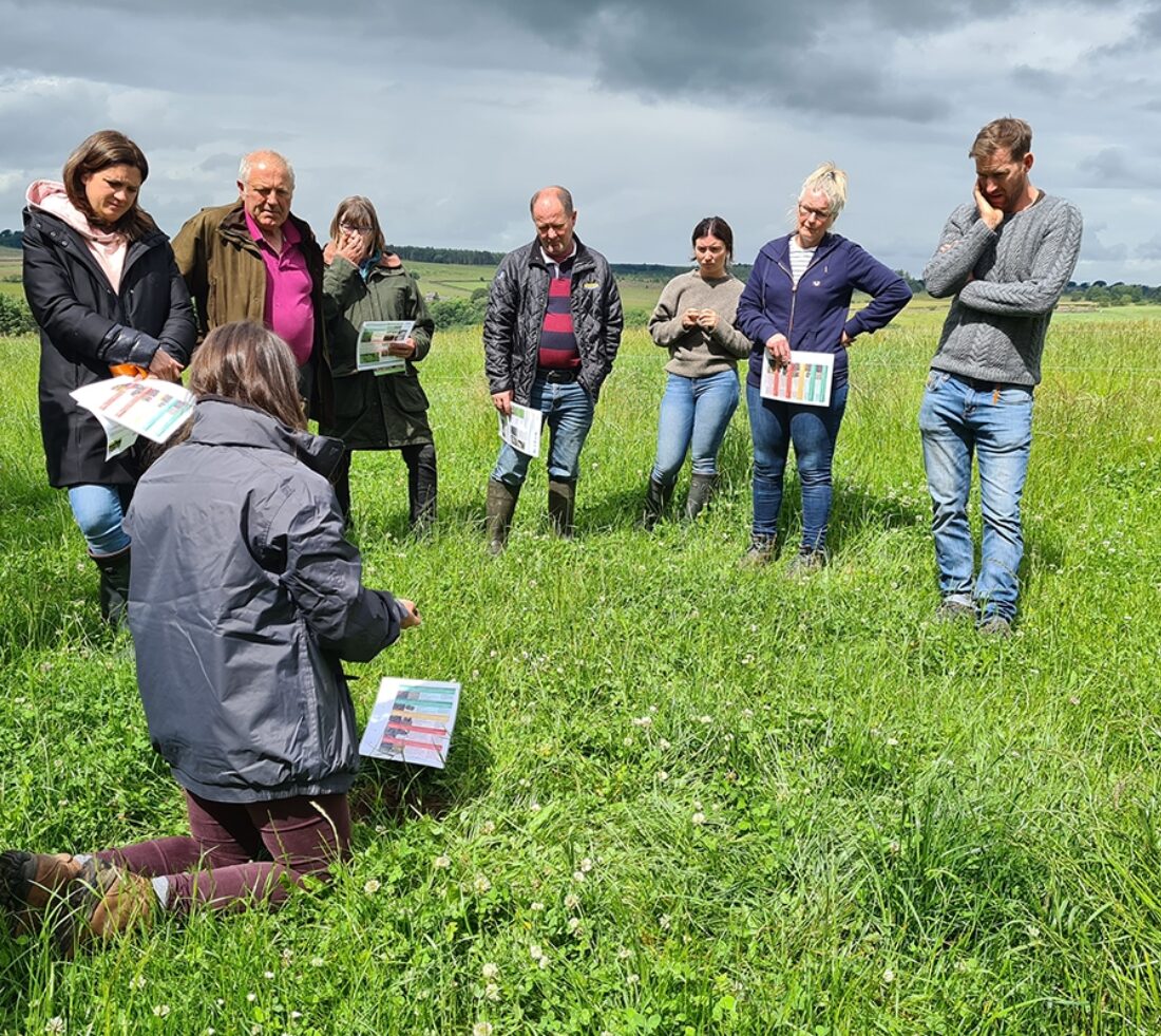 A group of people standing on grassland and arranged in a semi circle to listen to information being given by the activity leader about soil health.