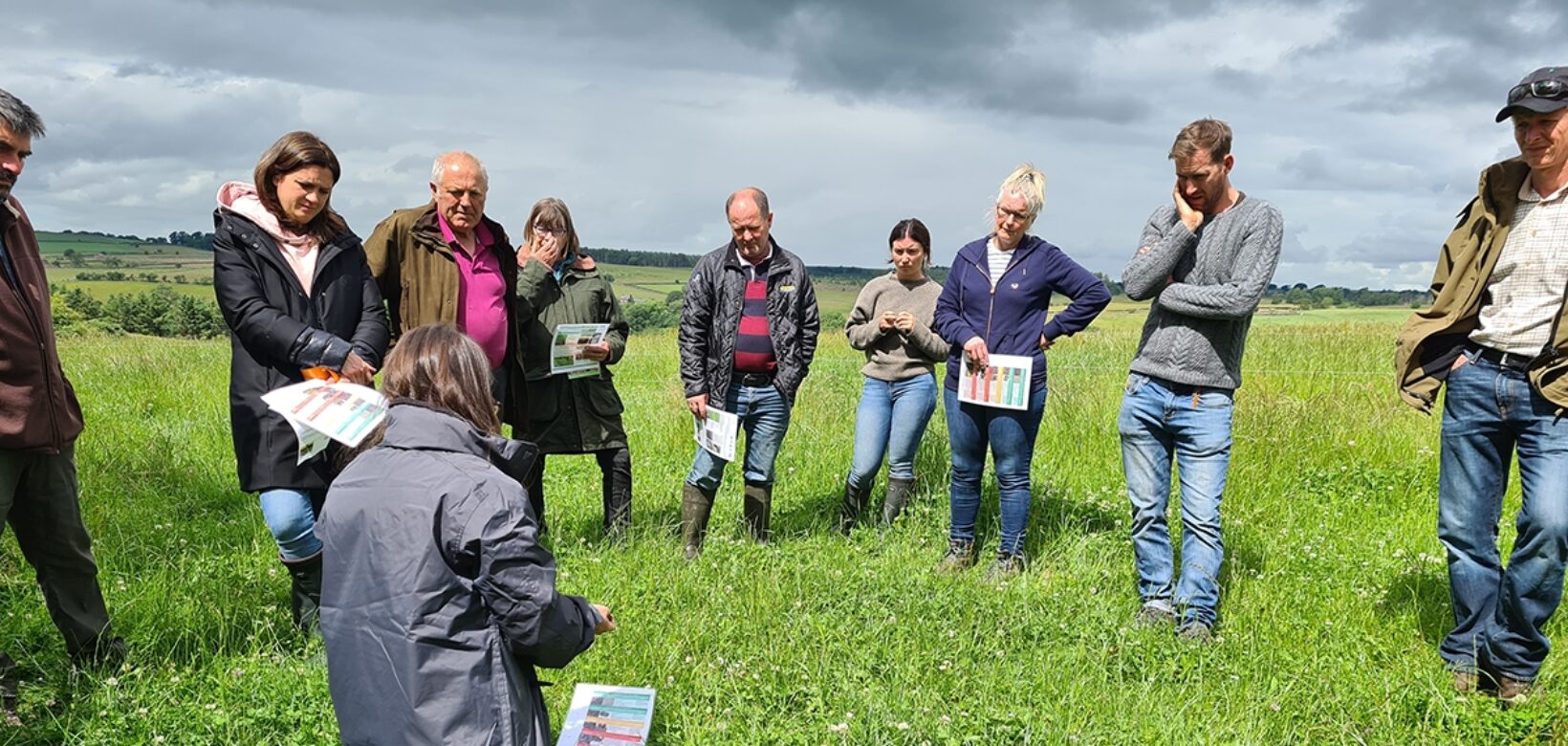 A group of people standing on grassland and arranged in a semi circle to listen to information being given by the activity leader about soil health.