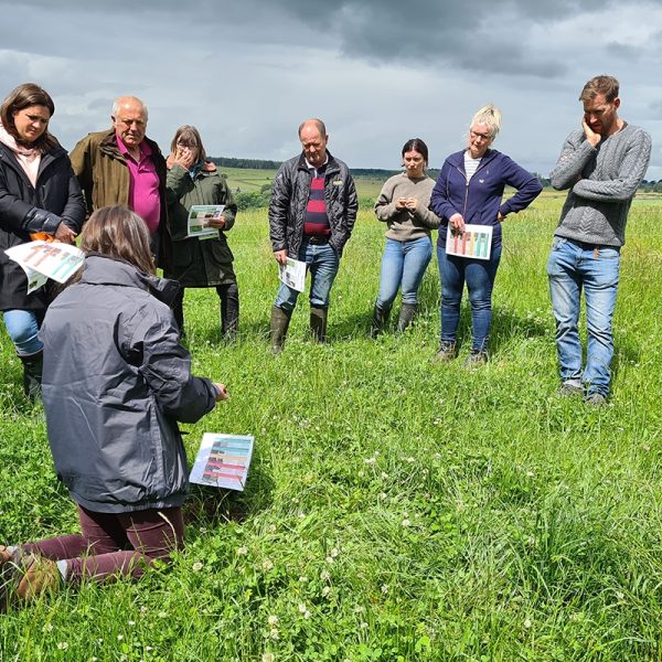 A group of people standing on grassland and arranged in a semi circle to listen to information being given by the activity leader about soil health.