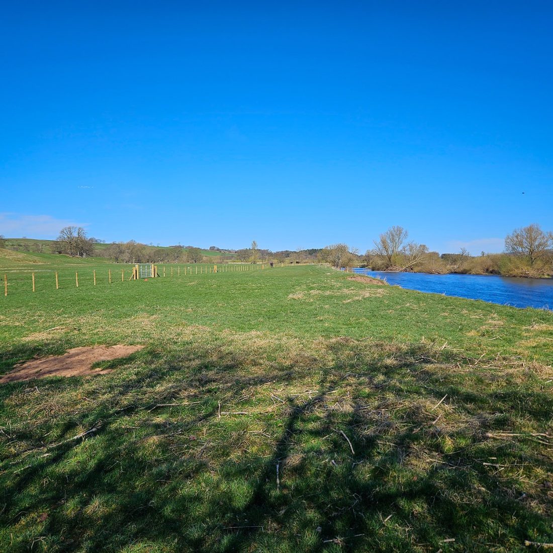 grassy field by the side of a river. Far to the left is a wooden and wire fence that extends along the whole length of the field, parallel to the river