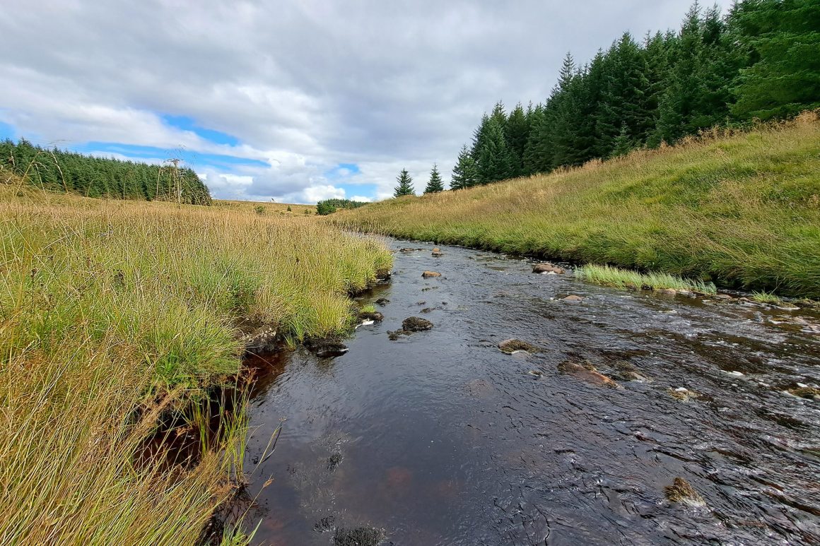 In a valley bottom there is a shallow river that sweep across the landscape. In the background there is a small forest stretching from the valley floor to the top of the hill.