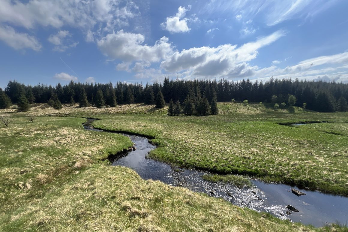 In a valley bottom there is a river with large meanders (bends) that sweep across the landscape. In the background there is a small forest stretching from the valley floor to the top of the hill.