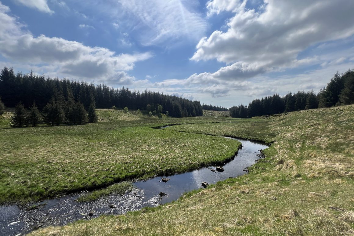 In a valley bottom there is a river with large meanders (bends) that sweep across the landscape. In the background there is a small forest stretching from the valley floor to the top of the hill.