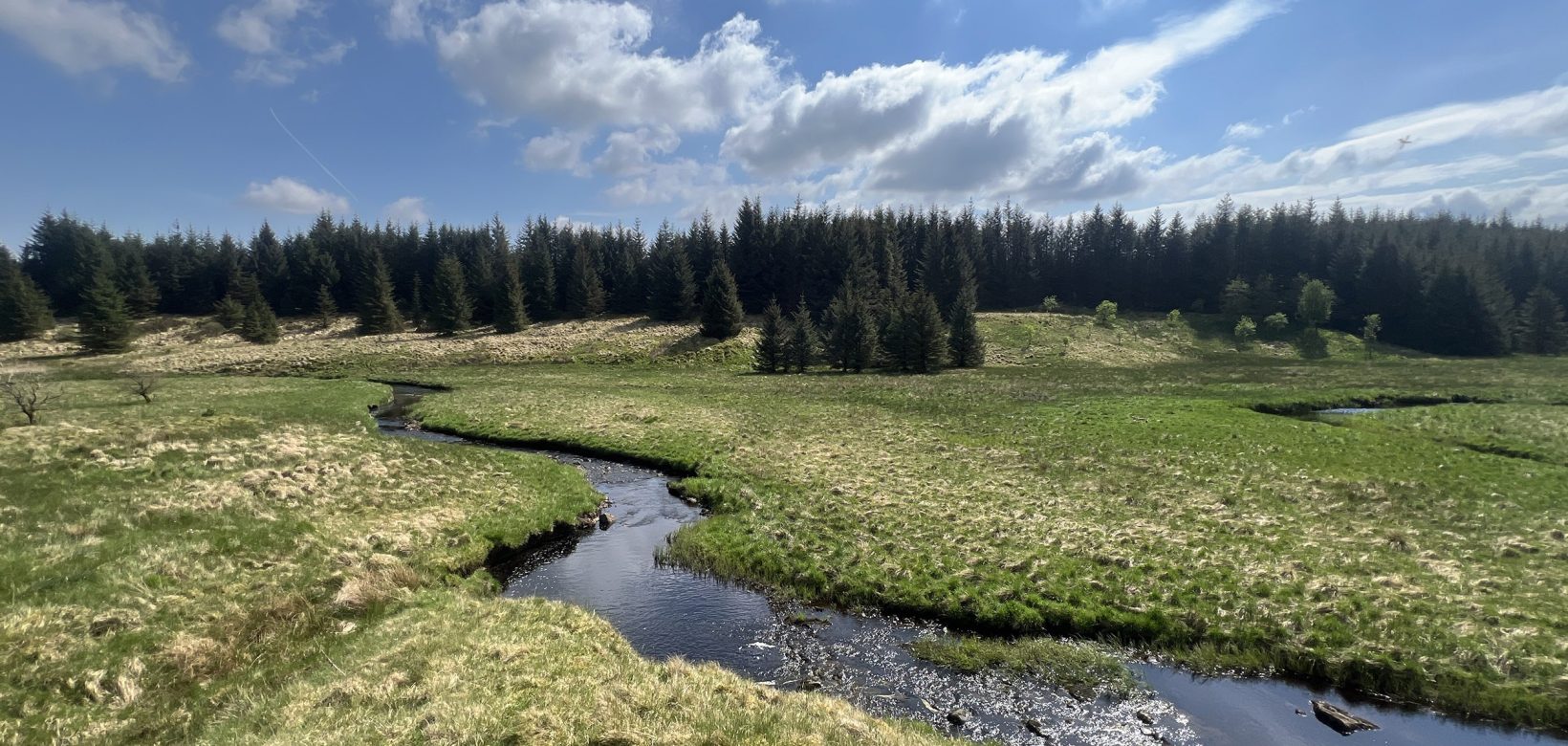 In a valley bottom there is a river with large meanders (bends) that sweep across the landscape. In the background there is a small forest stretching from the valley floor to the top of the hill.