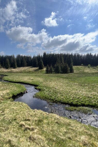 In a valley bottom there is a river with large meanders (bends) that sweep across the landscape. In the background there is a small forest stretching from the valley floor to the top of the hill.