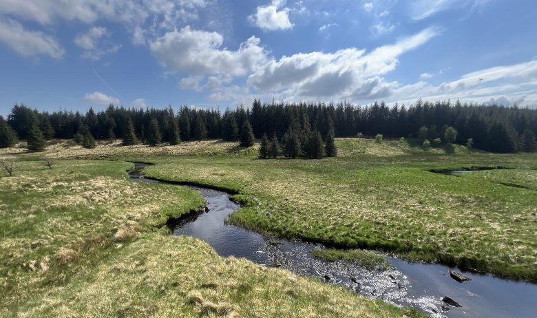In a valley bottom there is a river with large meanders (bends) that sweep across the landscape. In the background there is a small forest stretching from the valley floor to the top of the hill.