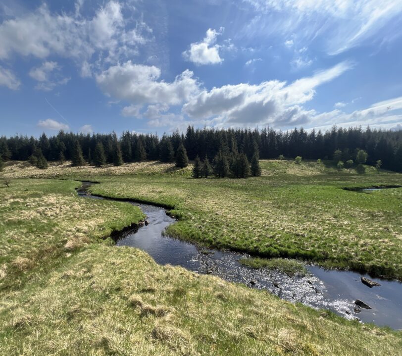 In a valley bottom there is a river with large meanders (bends) that sweep across the landscape. In the background there is a small forest stretching from the valley floor to the top of the hill.