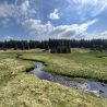 In a valley bottom there is a river with large meanders (bends) that sweep across the landscape. In the background there is a small forest stretching from the valley floor to the top of the hill.